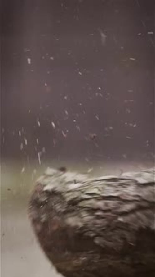 Chopping Wood on Simple Background Close Up Unrecognizable Invisible Person Using Axe Vertical