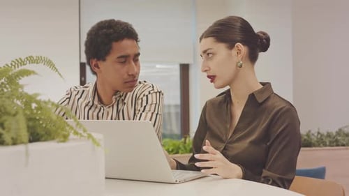 Diverse Couple of Colleagues Discussing Work in Office