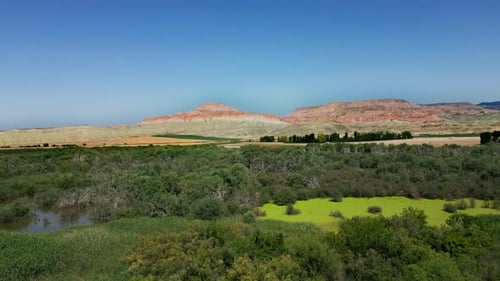 Aerial View of Marshland and Hills on Sunny Day