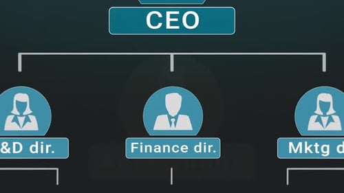 Corporate Organizational Chart Reveal Animation