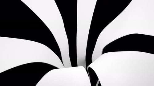 Dynamic White Ribbons Abstract Background Animation