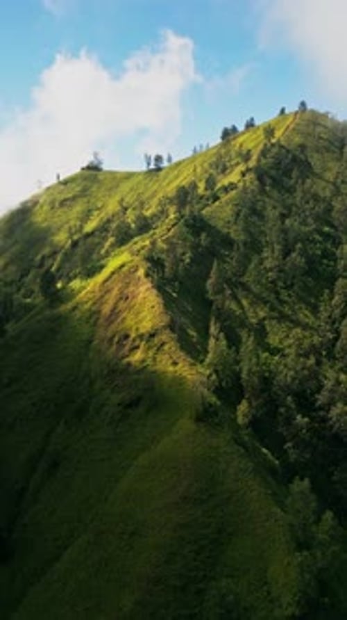Matin ensoleillé à Trunyan Hill, Bali, collines verdoyantes et luxuriantes, vues panoramiques, aventure vidéo verticale