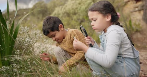 Aventura, flores e crianças explorando a montanha na natureza ao ar livre juntos