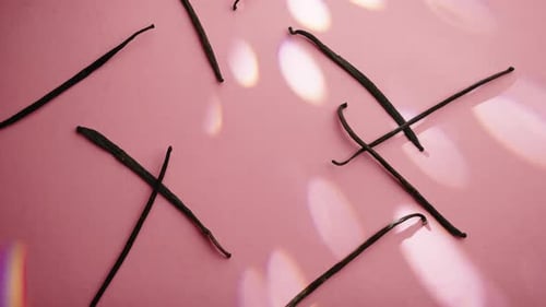 Vanilla Pods On Pink Background