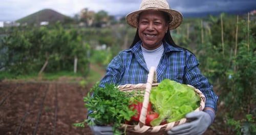 Happy african senior woman holding basket with fresh vegetables - Garden, agriculture and harvest