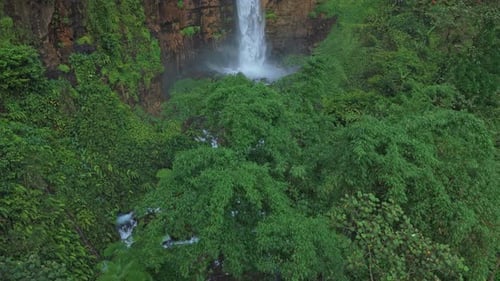 Lush green rainforest waterfall cascading down cliff