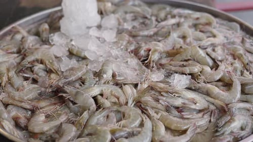 Fresh Shrimps with Ice in a Metal Basket in a Fish Local Market in Bangkok Thailand