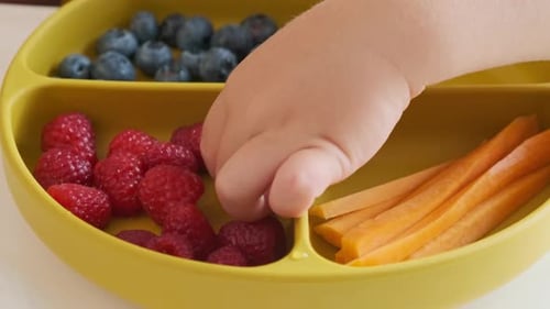 Child Hand Selecting Raspberries From Plate
