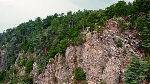 Scenic Mountain Cliffside with Evergreen Forest