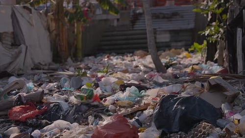 A lot of garbage accumulated on the side of the river. Tracking shot.