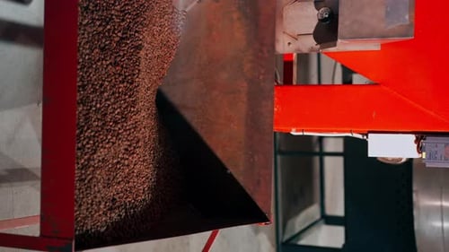 Vertical Video Closeup of Coffee Roasting Factory Machine Passes Coffee Sorting Product for Sale
