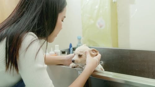 Woman Giving Small Dog a Bath