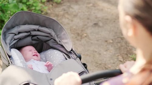 Newborn Baby in a Stroller with His Mother in the Park