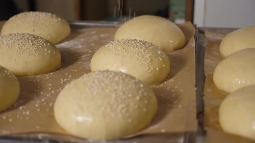 Buns Sprinkled with Sesame Seeds on a Baking Tray