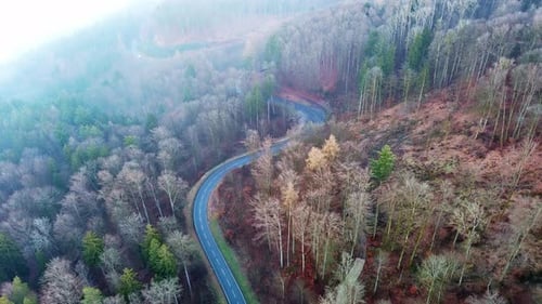 Highway Lies on Slopes of Hills in a Valley with Pine Forests Covered with White Fogs in Sunlight