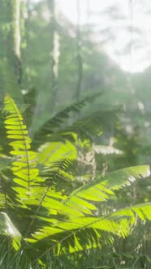 Tropical Jungles of Southeast Asia in August
