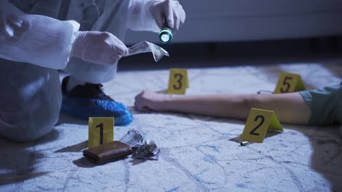 Crime Scene Investigation: Evidence Examination