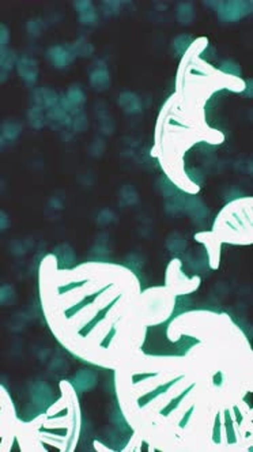 DNA Gene Helix Spiral Molecule Structure