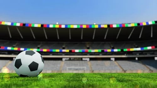 Soccer Ball On Soccer Field 01 4K