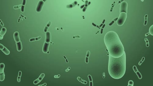 Floating bacteria microscopic 3d animation on green background