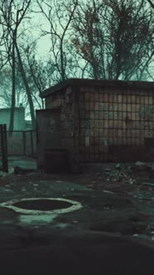 Old Abandoned Garages in the Forest