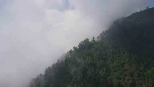 Luftaufnahme des nebligen Tropenwaldes im Lawu-Berg in Indonesien