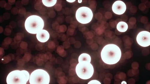 Abstract Glowing Orbs Organic Particles Background Loop