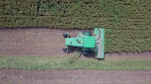 Aerial footage of a Combine harvester harvest a green wheat field