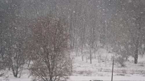 Winterschneefall-Hintergrund