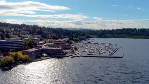 Zumbido aéreo del puerto de Seattle Active Active