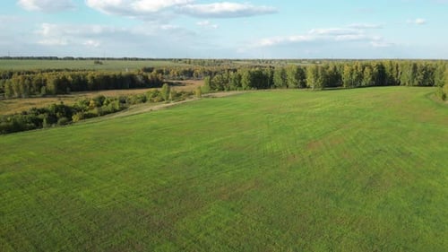 Aerial View of Green Meadows Fields and Trees Wilderness Nature with Scenic Forest Landscape