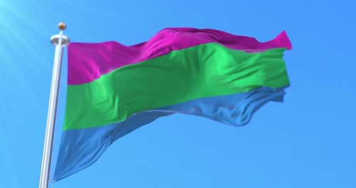 Polysexual Pride Flag
