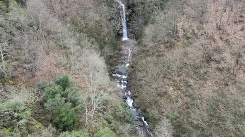 Waterfall Forest Drone