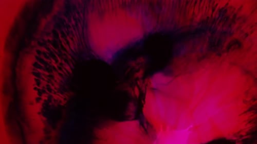 Abstract Ink Flows in Red Black and Pink