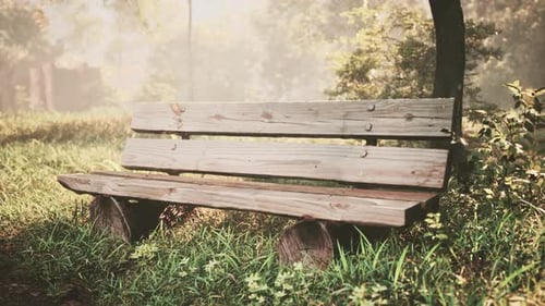 Misty Morning in a Sunlit Forest with Wooden Bench