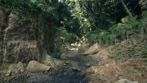 Dirt Road Surrounded By Trees and Rocks