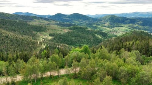 Panoramic View of Carpathian Valleys and Forest Roads Rolling Hills and Villages Nestled in Lush