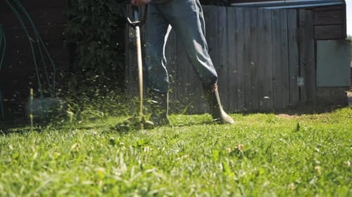 Male Gardener Mowing Green Lawn with Manual Gas Grass Mower Garden Maintenance