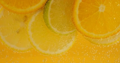 Refreshing Citrus Fruit Slices in Carbonated Water