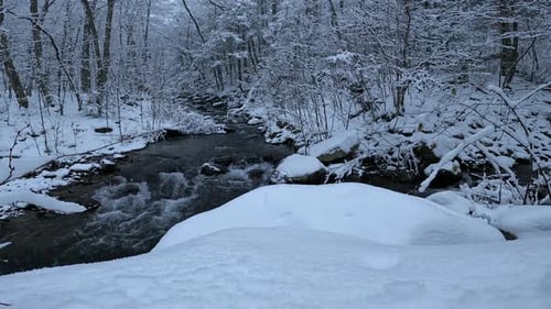 Stunning footage of a snowy stream in a winter wonderland