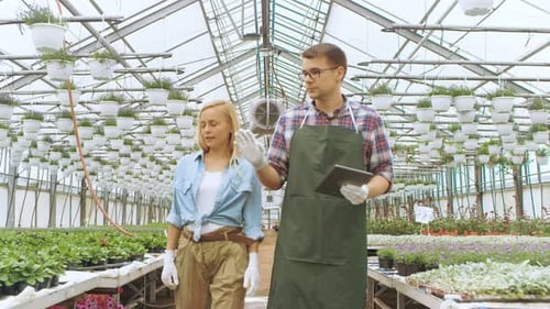 Botanists Walking Through Greenhouse Inspecting Plants with Tablet