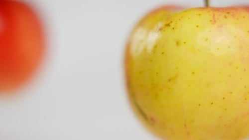 Extreme Closeup Delicious Yellow Apple with Red Blurred Fruit Hanging at White Background Closeup