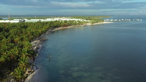 Tropic Coastline with Palm Trees and Caribbean Sea Cabeza De Toro Beach Dominican Republic Aerial