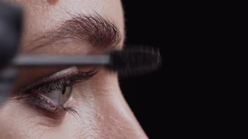 Professional Eyebrow Makeup