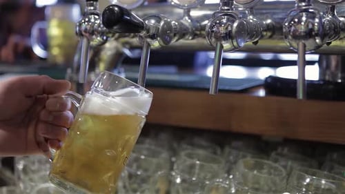 Craft Beer Pour at Urban Bar