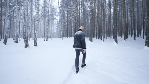 Stylish Man Walks in Winter Forest Media Rear View of Stylish Blond Man Walking in Winter Forest