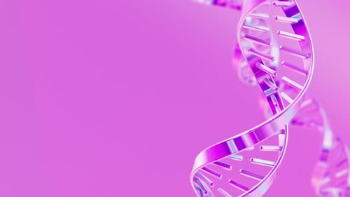 Holographic Iridescent DNA Double Helix Strand Rotates on Pink Background Loop Animation Science and