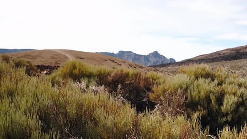 Volcanic Nature Landscape By the Mount Teide Volcano in Tenerife Canaries Spain