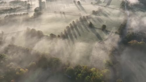 Misty morning meadow with beautiful shadows and sunbeams in fog