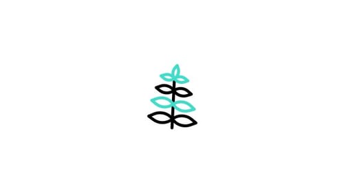 Minimalist Flat Design Growing Plant Animation